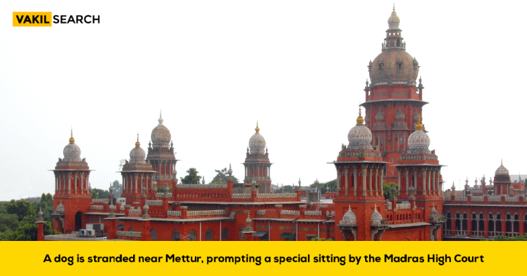 PIL for A Dog is Stranded Near Mettur, Prompting a Special Sitting by the Madras High Court.